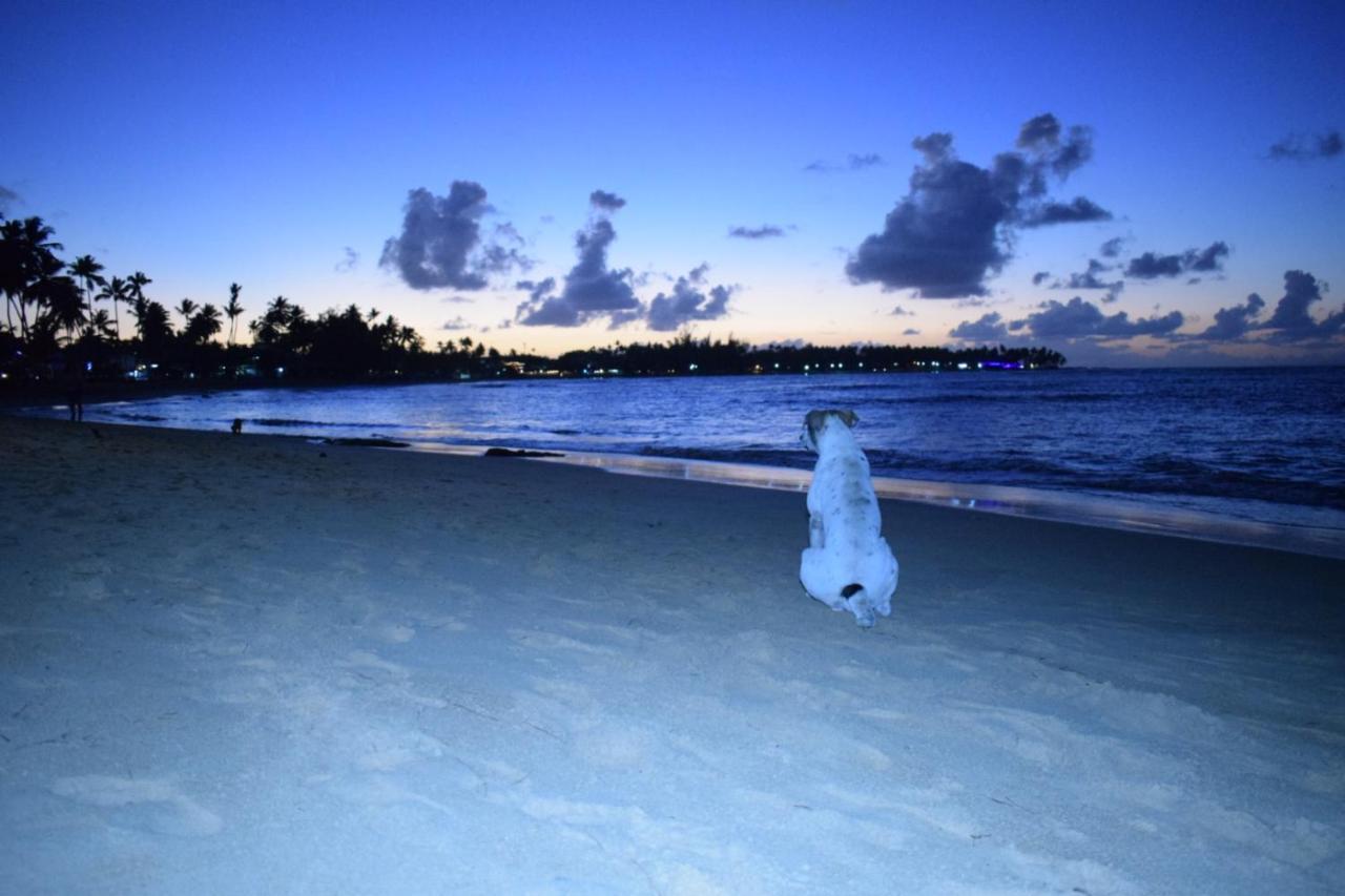 La Dolce Vita Beachfront Hotels, Las Terrenas, Samana Luaran gambar